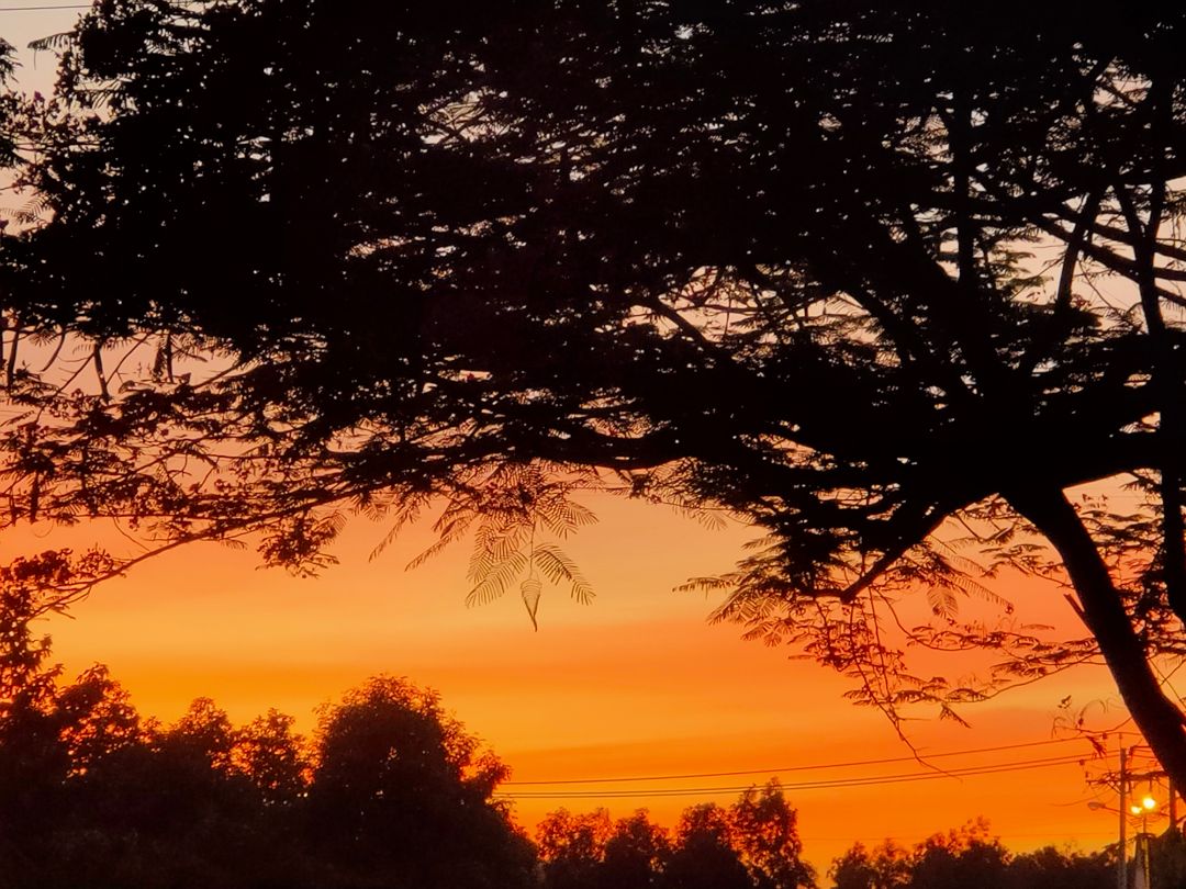 Sản phẩm rất tốt đóng gói cẩn thận. Sẽ tiếp tục ủng hộ shop