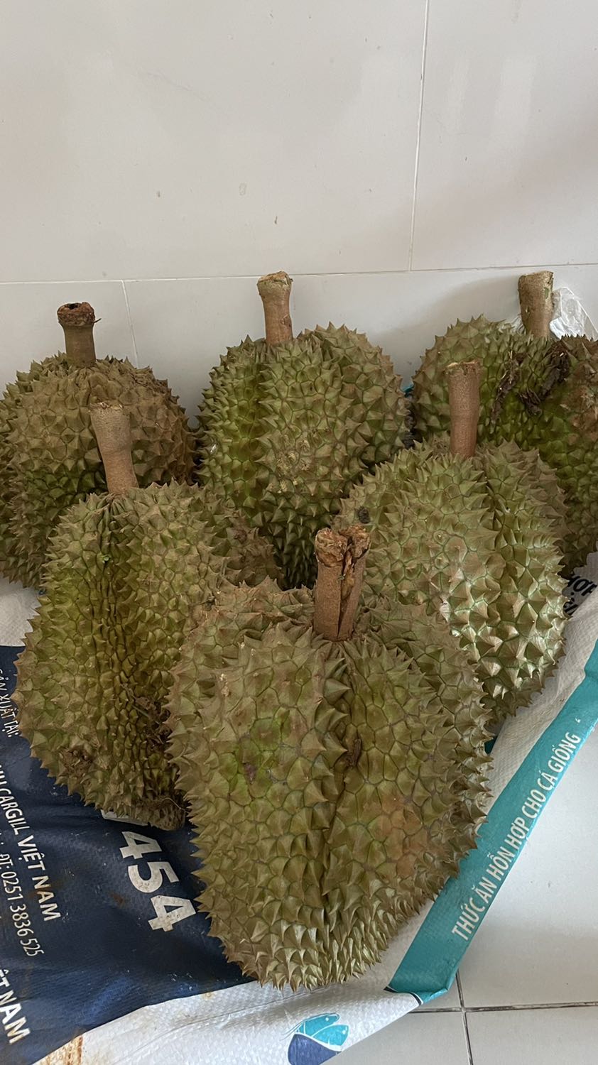 Giao hàng nhanh phí giao hàng cao Giao hàng nhanh phí giao hàng cao