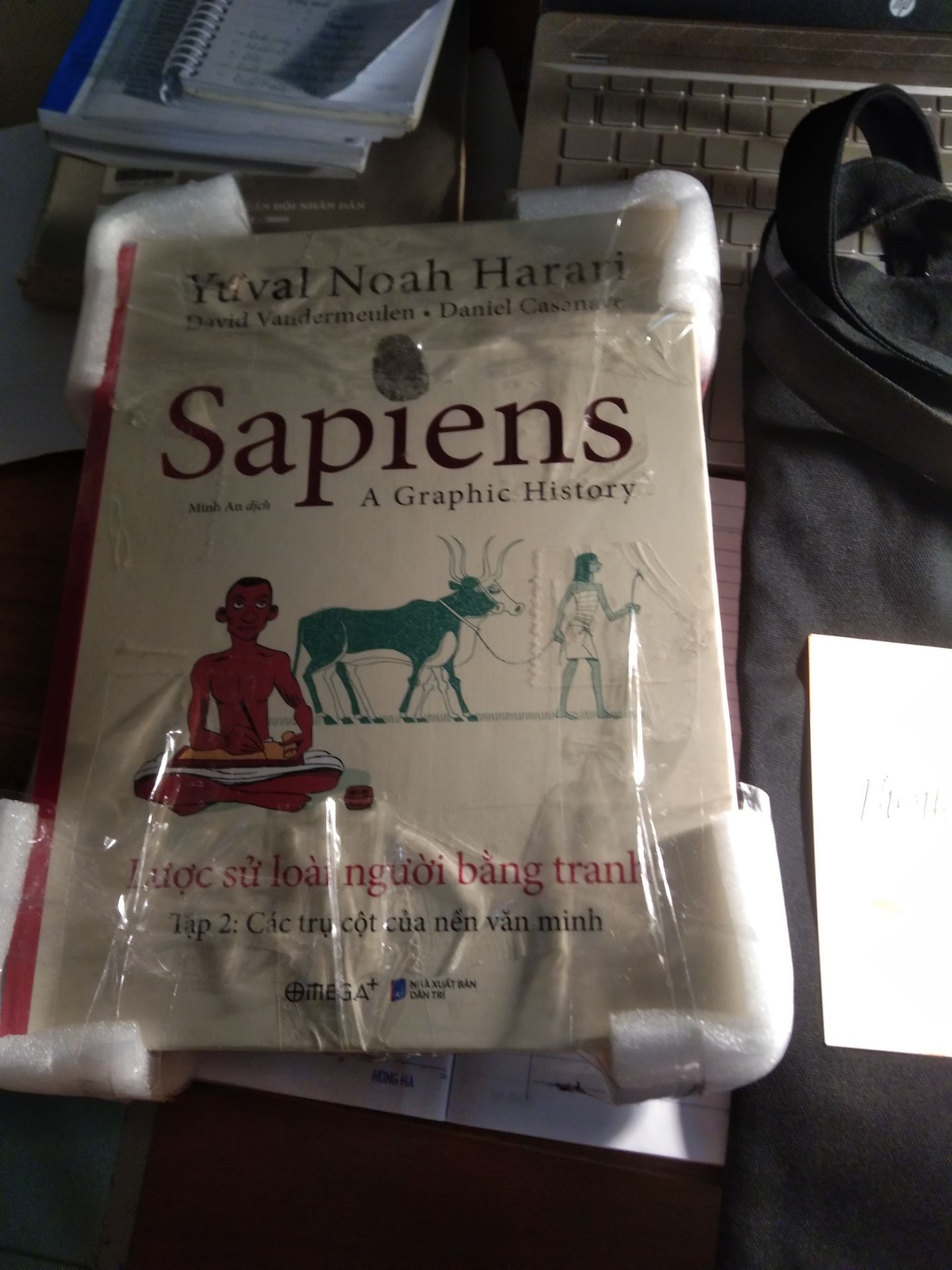 Lần mua mà mình thấy ưng ý nhất
- Giao hàng đúng hẹn
- Sách bọc kĩ càng
- Cảm ơn shop vì cái túi sapiens quá chất 
- Nội dung thì mình đã đọc sách chữ, mua sách tranh để hiểu sâu hơn. Nghe ông qoéo (Anh Nguyễn Hữu Trí) review mà phải đặt luôn mọi người ạ