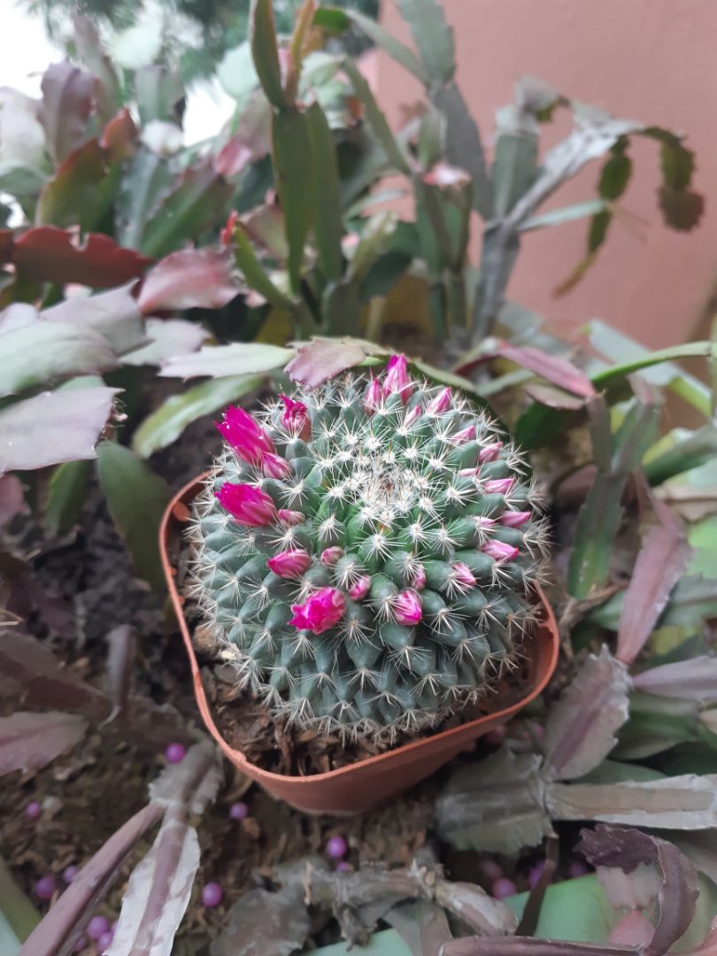 mua loại 2 lớp nhưng shop gửi loại 1 lớp. mua màu xanh đen nhưng shop gửi màu ghi xanh ( mua hộ nên quên ko chụp lại hình ảnh chỉ mang tính chất nhận xu)