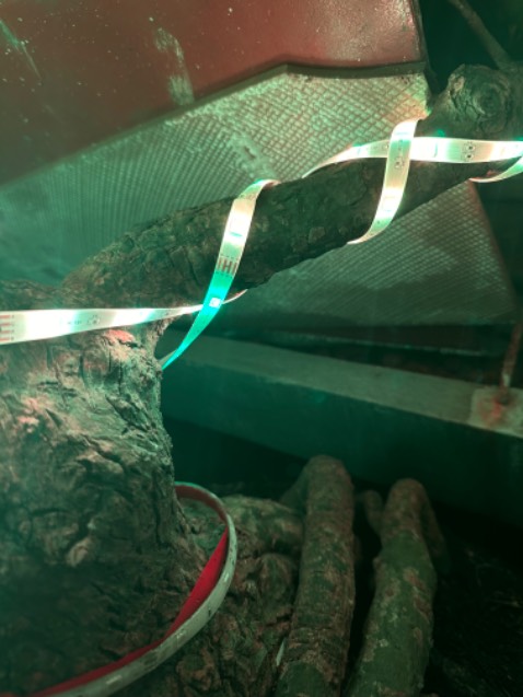 Dùng được 12 ngày thì bị như này, mỗi ngày bật 3 tiếng ae cân nhắc khi dùng sản phẩm này, rất dễ bị lỗi