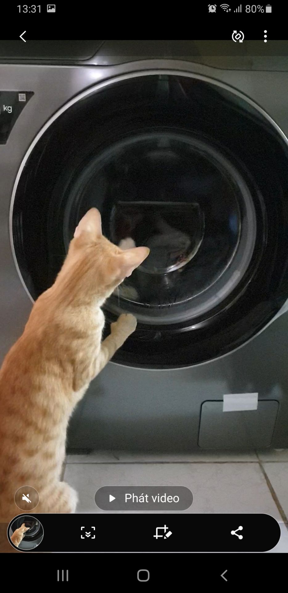 máy giặc sạch, ko bị kéo giãn đồ như cửa trên. có giặc nc nóng khử khuẩn cho đồ cần thiết. nhiều chế độ giặc. ko cần đế nếu không gian ko bị ướt phía dưới. giặc ko ồn. chỉ có ồn xíu lúc mới mở máy.