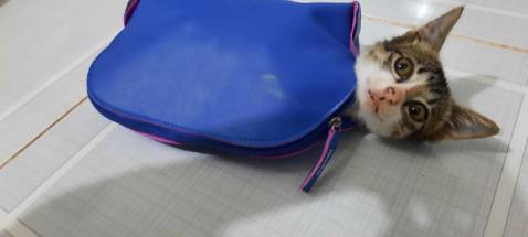 Nội dung hay, giấy sịn, in đẹp, giao nhanh Nội dung hay, giấy sịn, in đẹp, giao nhanh