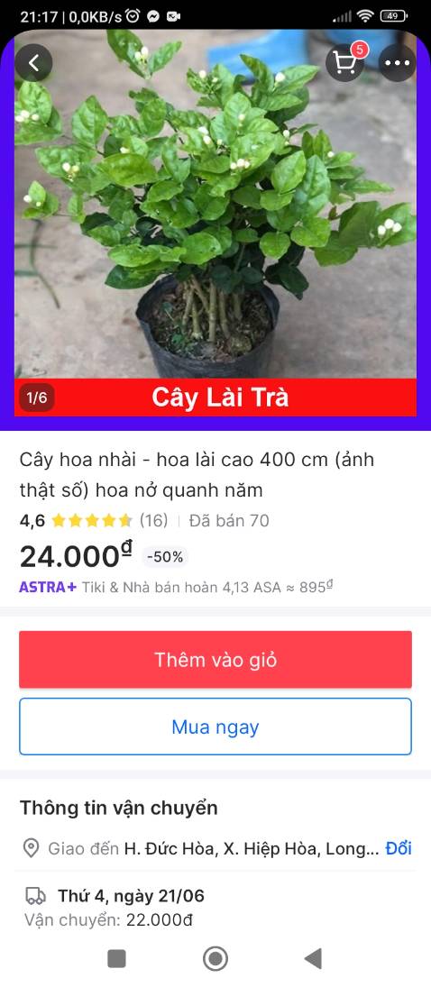 Đóng gói kỷ cây tốt hóa thơm