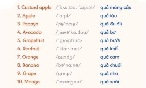 ..................…… hình ảnh chỉ mang tính chất minh hoạ