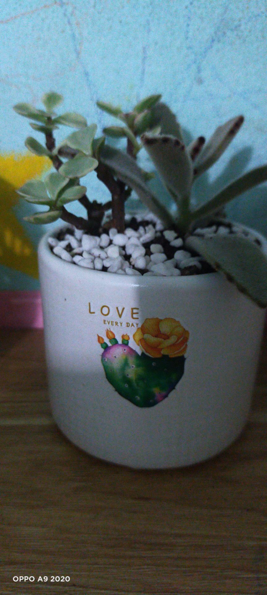 chất lượng sản phẩm tốt shop giao hàng nhanh đóng gói cẩn thận, giá sale rẻ nên mua nhé mọi người ❤️