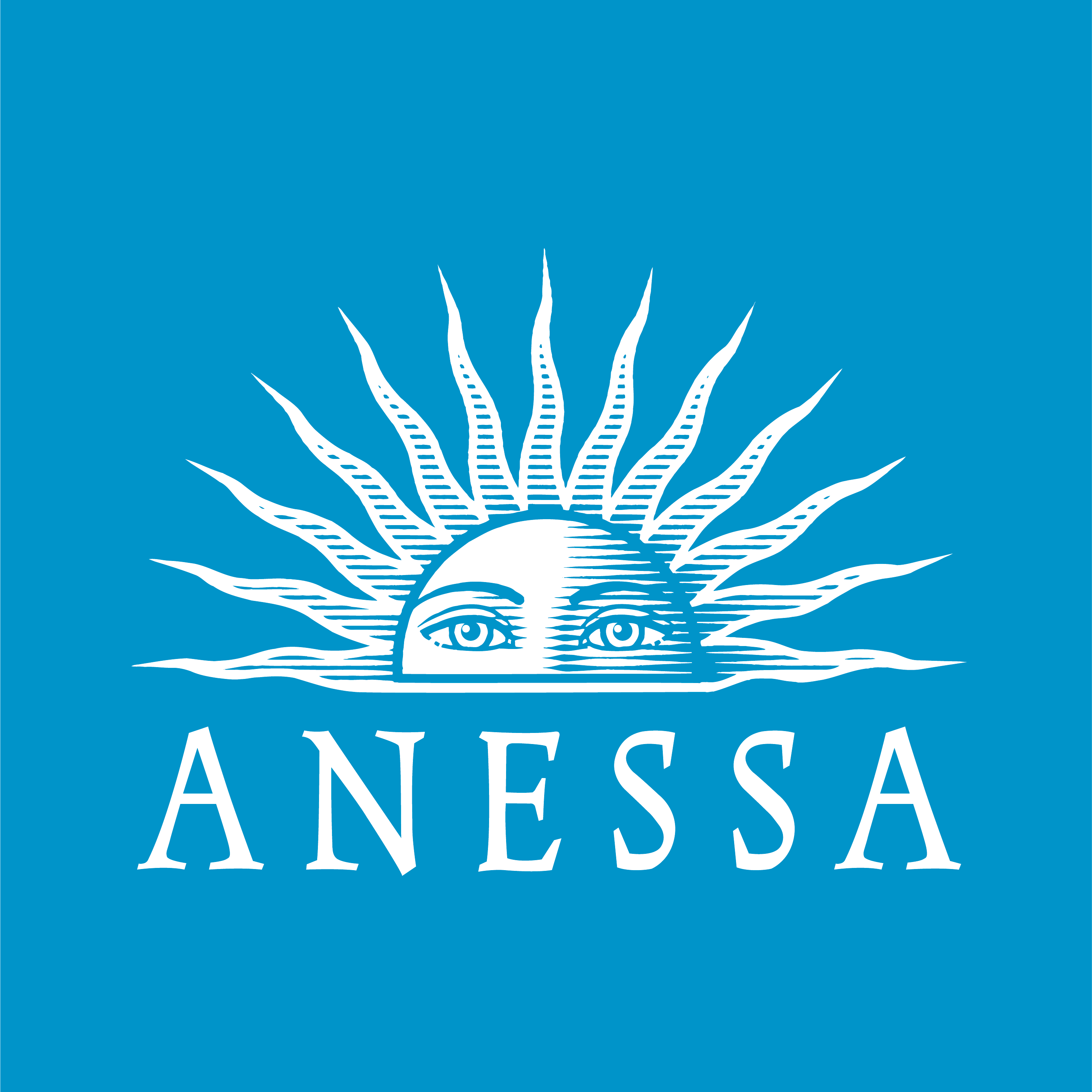 Anessa Official Store