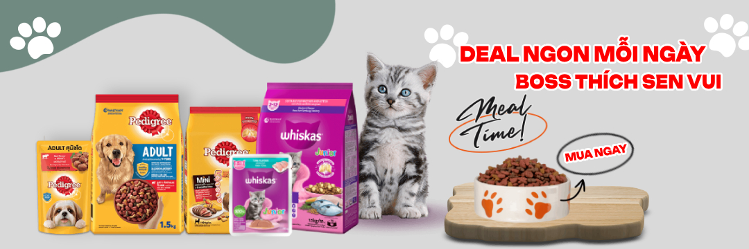 cate-top-banner-ad