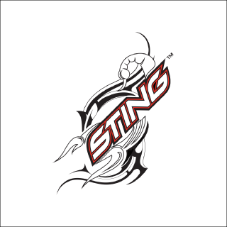 Sting Official Store