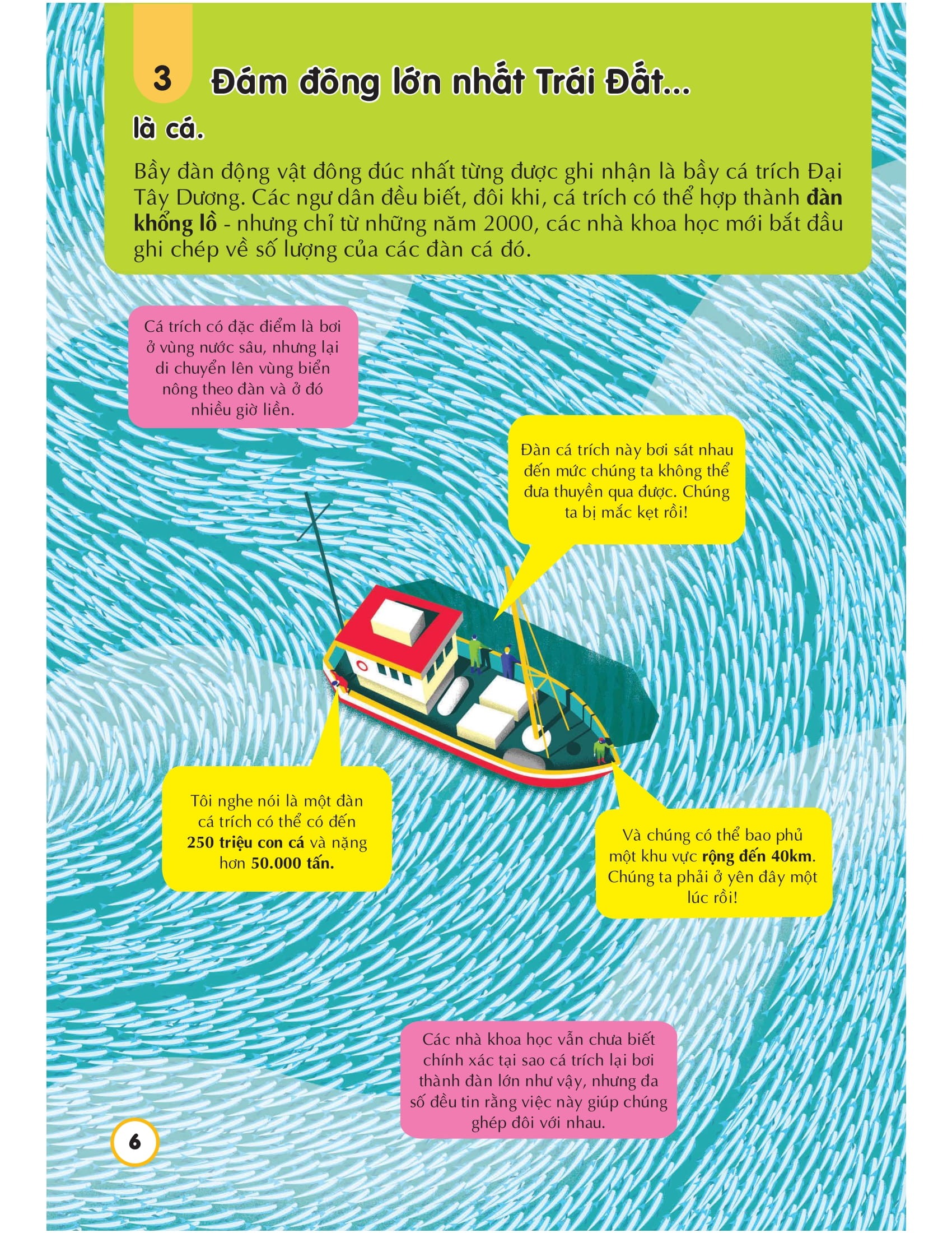 Combo 2Q: 100 Bí Ẩn Đáng Kinh Ngạc Về Các Đại Dương - 100 Things To Know About The Oceans + 100 Bí Ẩn Đáng Kinh Ngạc Về Giải Cứu Trái Đất - 100 Things To Know About Saving The Planet