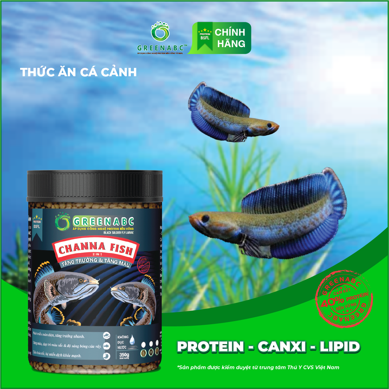 Thức ăn Cá Lóc Cảnh GREENABC - Channa Fish – Hàm lượng protein 40% giúp tăng trưởng nhanh, lên màu đẹp, màu sắc rực rỡ - Hộp 350g
