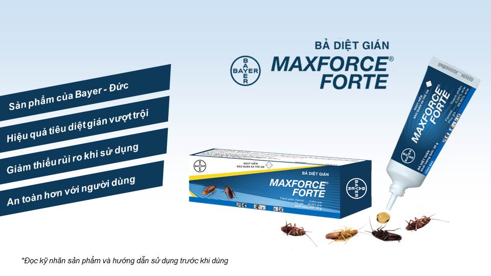 Bả Diệt Gián Bayer Maxforce Forte (20g)