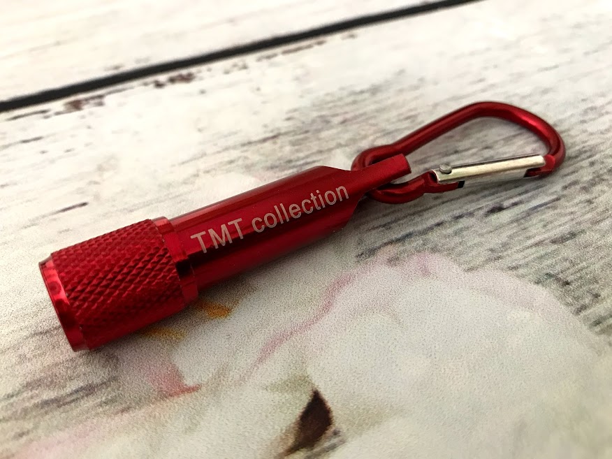 den led do choi cho meo