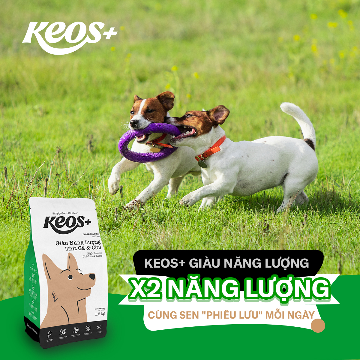 20KG Thức ăn cho chó Keos Plus Giàu Năng Lượng Thịt Gà & Cừu - Keos+ High Protein Chicken & Lamp