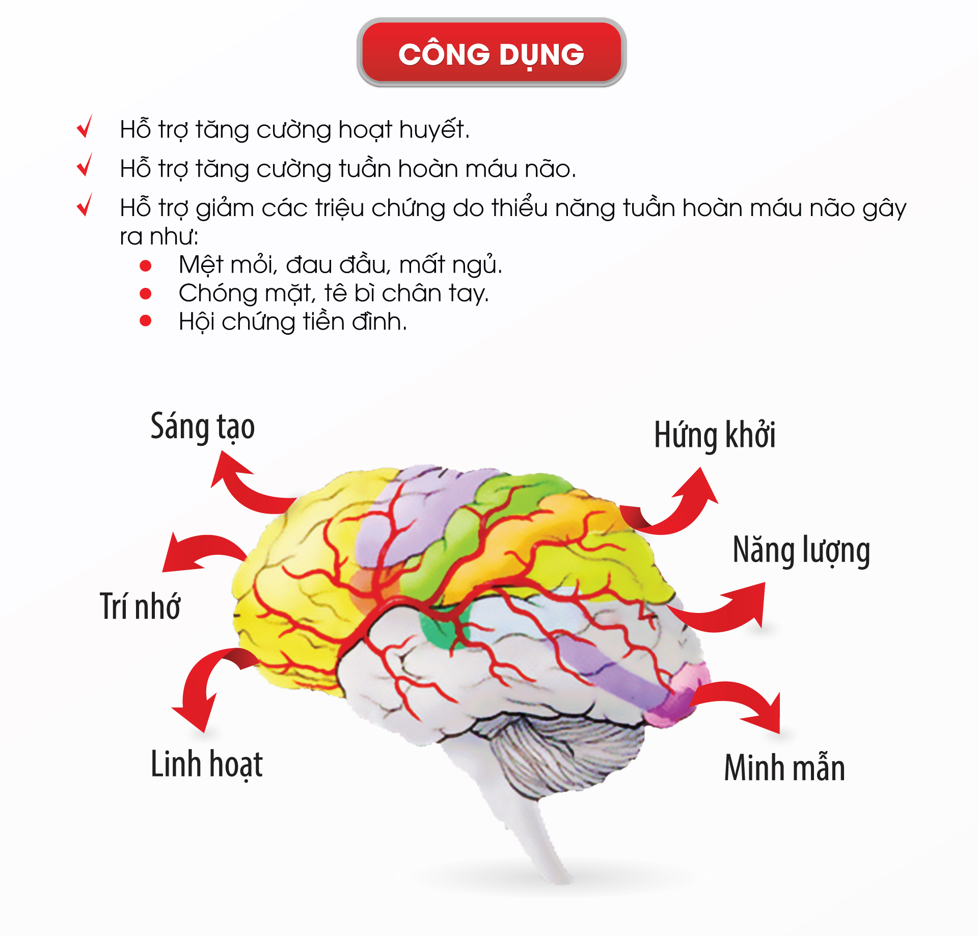 hoạt huyết dưỡng não đông dược 5 - phòng ngừa đột quỵ não (combo 3 hộp giảm 10%) 2