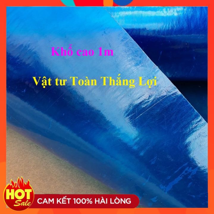 tôn_nhựa_lấy_sang