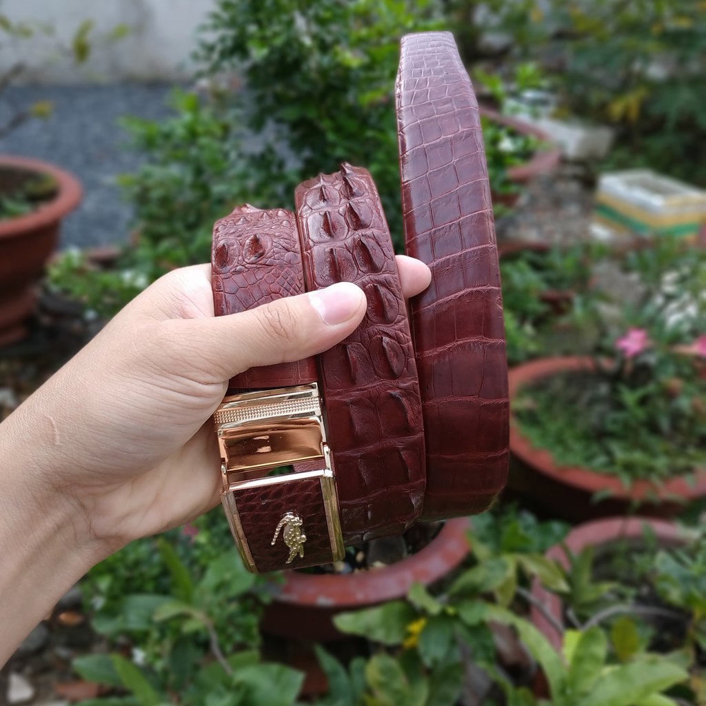 Thắt lưng da cá sấu có gù rất đẹp. DA CÁ SẤU THẬT 100%. Kích thước chuẩn 3.5x120cm phù hợp với cả quần tây và quần jean