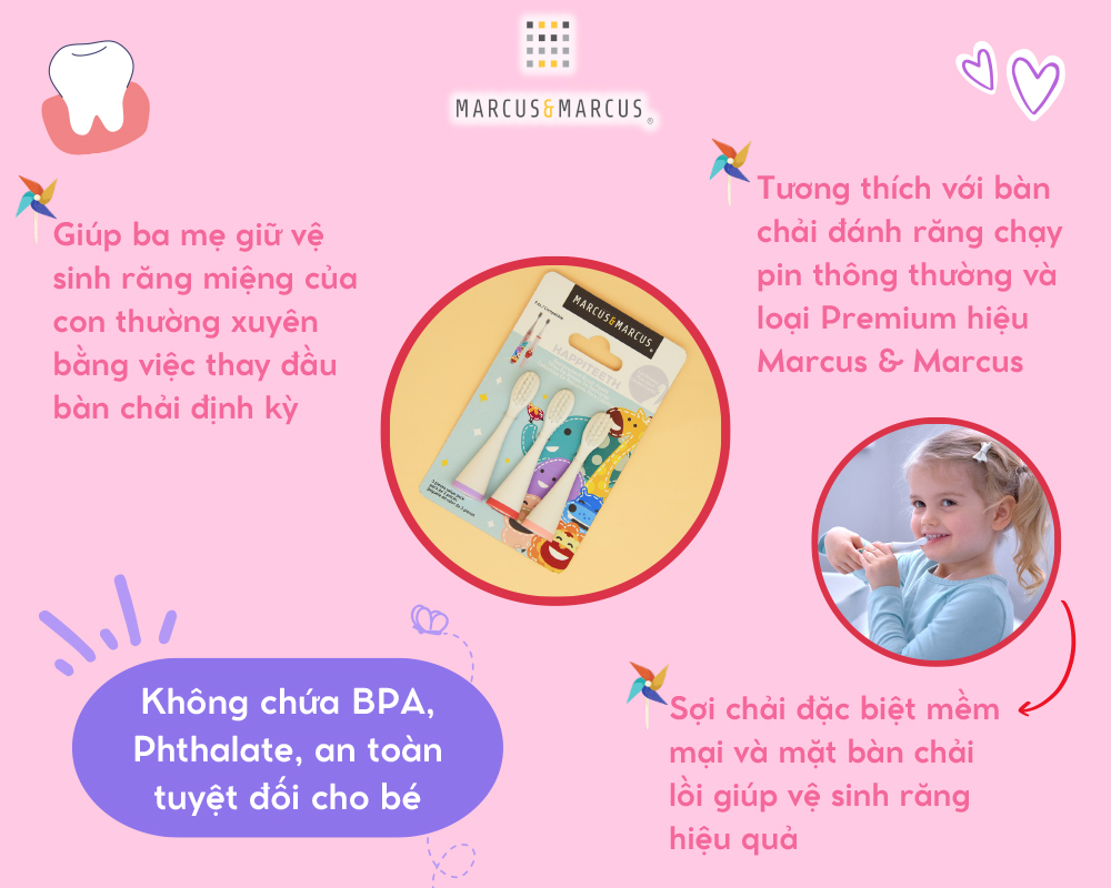 Bộ 3 đầu bàn chải thay thế cho bé Marcus & Marcus (Willo/ Marcus/ Pokey)