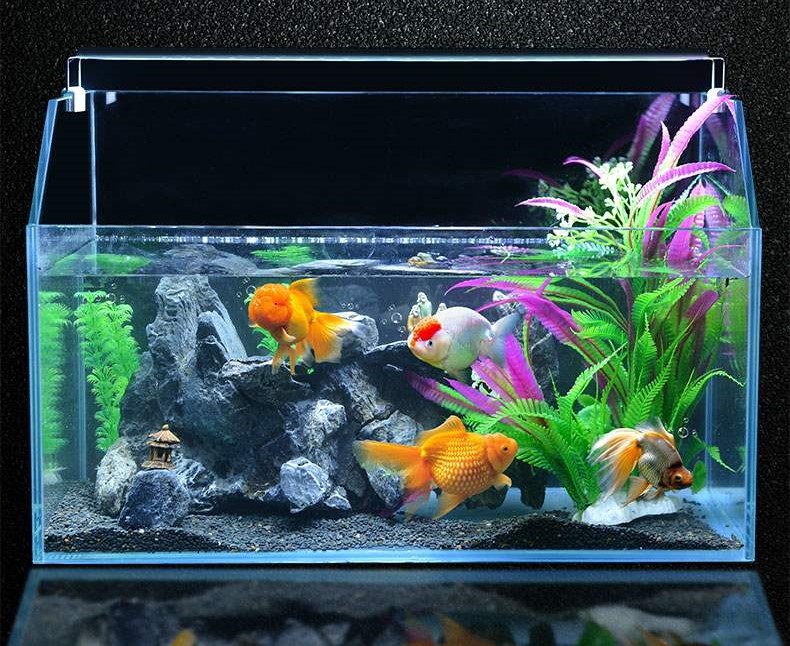 Đèn LED máng bể cá 20-90cm XML Ánh Sáng Trắng cao cấp