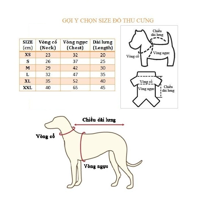 Combo siêu tiết kiệm gồm 4 áo thun cực đáng yêu ngẫu nhiên dành cho chó mèo dưới 10kg Xudapet