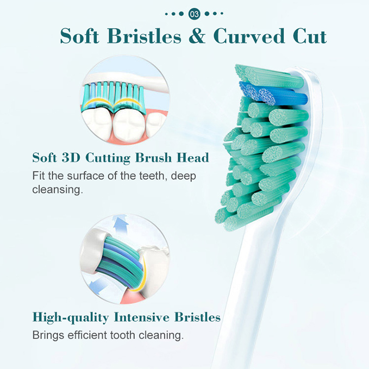 PHILIPS Sonicare HX6511 Electric Toothbrush Adult Sonic Vibration Toothbrush Rechargeable Electric Toothbrush for Dental White US Plug