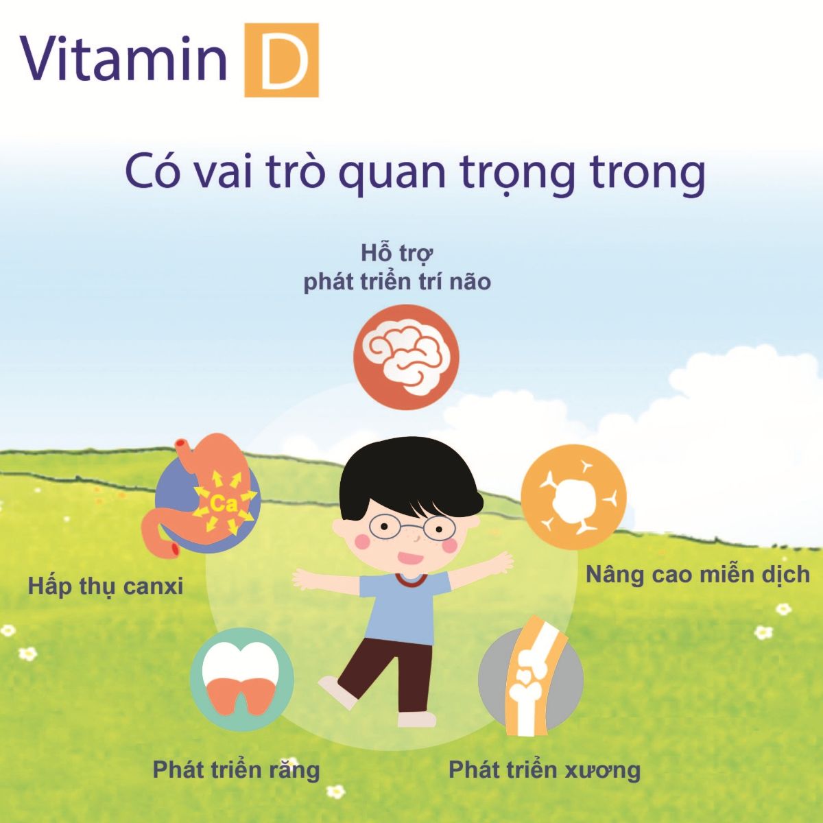 vai trò của vitamin D