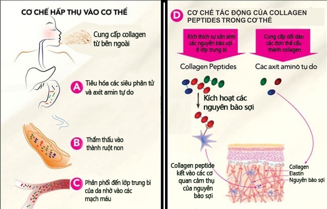 Viên Uống Hỗ Trợ Trẻ Hóa Da Pico Collagen Genki Fami, Hộp 180 viên