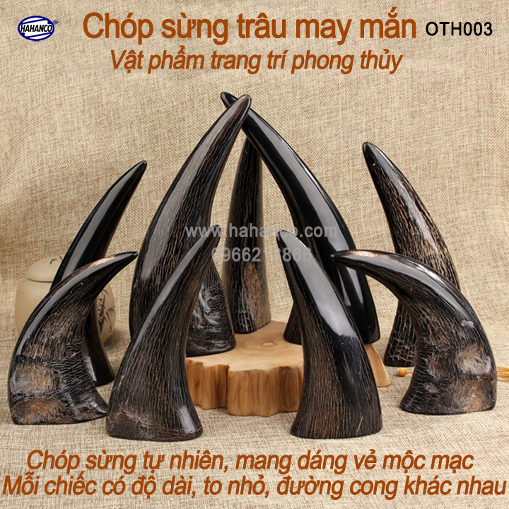 Chóp sừng trâu vật phẩm phong thủy (OTH003) HOT nhất của năm trâu vàng 2021 - giàu sang - phú quý 