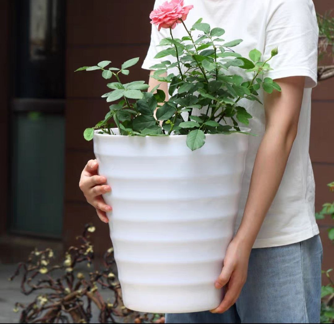 Combo từ 1 đén 2 chậu vòng tròn trồng cây cảnh bằng nhựa ABS bóng cao cấp  M 32 cm x C 35cm Màu trắng
