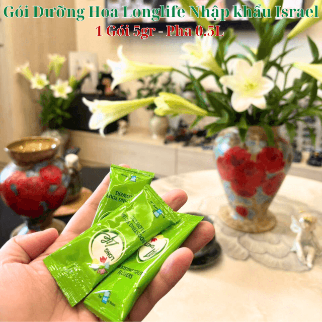  (COMBO 30 GÓI) GÓI DƯỠNG HOA TƯƠI LONGLIFE CỦA ISRAEL GIỮ HOA TƯƠI LÂU GẤP 2 LẦN VÀ 14 NGÀY KHÔNG THAY NƯỚC MỚI