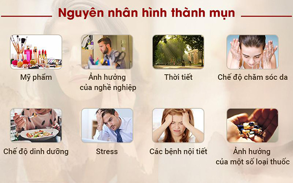 nguyên nhân gây ra mụn