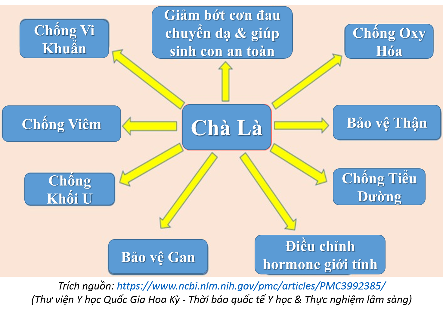 Chà là Iran (500gr)