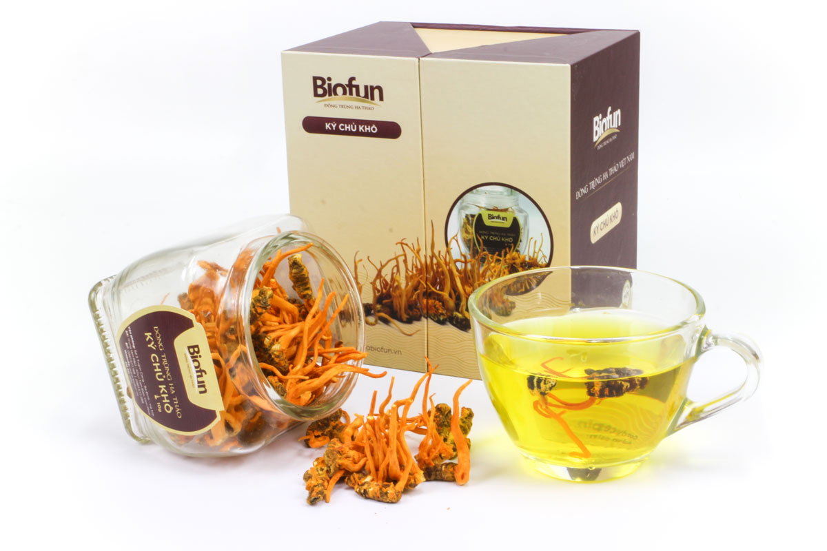 Hãm trà Đông Trùng Hạ Thảo