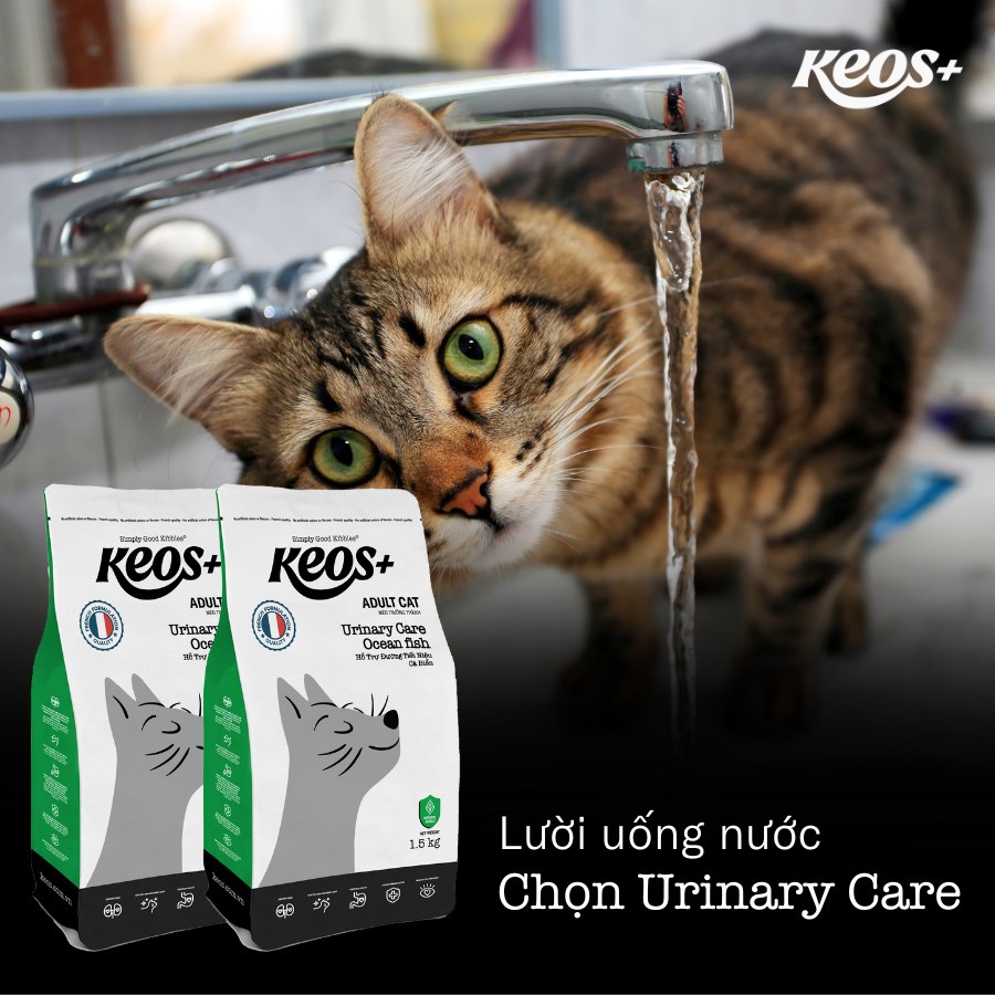 9KG Thức ăn hỗ trợ đường tiết niệu cho Mèo Keos Plus Cat Adult Urinary