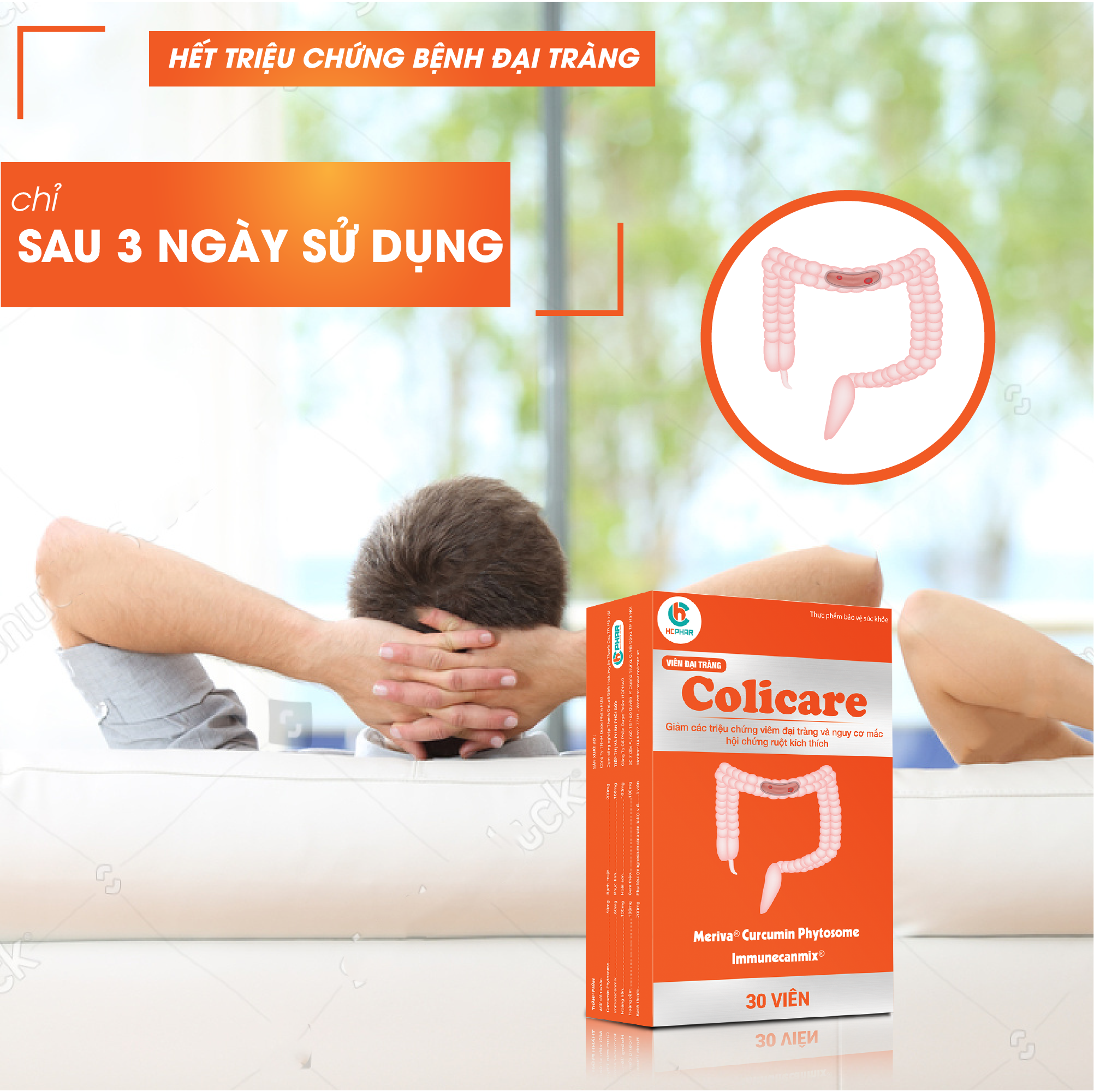 Viên Đại Tràng Colicare - Hỗ Trợ Giảm Viêm Loét Đại Tràng, Hội Chứng Ruột Kích Thích, Đại Tràng Co Thắt - 5 Hộp 2