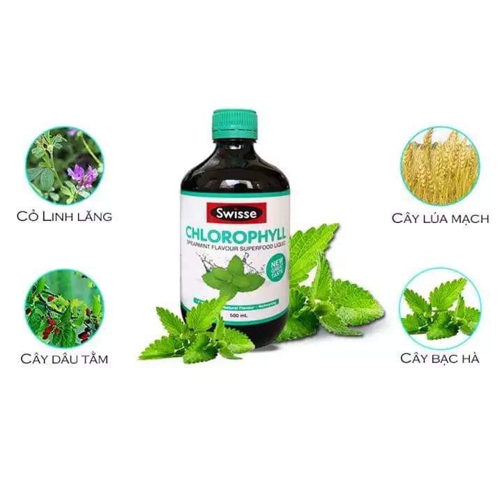 Nước diệp lục cô đặc Úc Swisse Chlorophyll hỗ trợ làm chậm quá trình lão hóa, cải thiện sức khỏe da, tăng cường sức khỏe chung - QuaTangMe Extaste