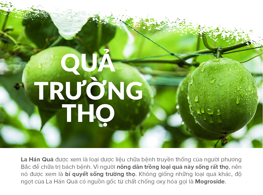 Đường ăn kiêng La Hán Quả Saraya Lakanto MonkFruit Trắng, 0 Calo, 0 tăng đường huyết, 0 biến đổi gen - 180g