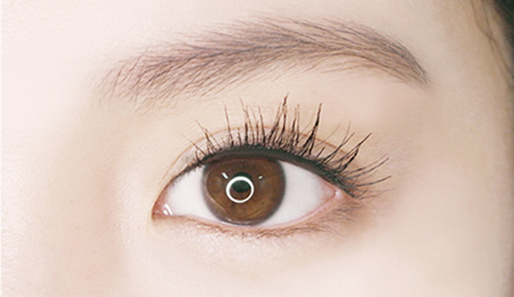 Cây Chải Làm Dài Mi Innisfree Super Longlashcara 7g - 131170122