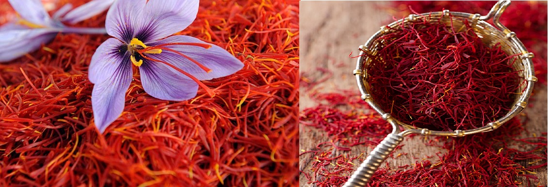 Combo 3 Lọ Nhụy hoa nghệ tây Tashrifat Saffron loại chuẩn Negin (1 Grams) 6