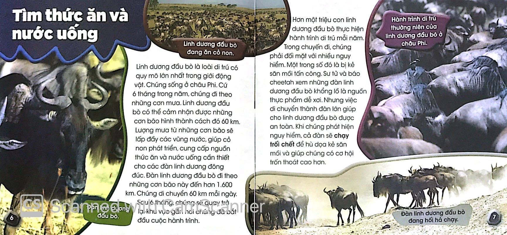 Độc Lạ Phi Thường - Lữ Khách Thường Niên