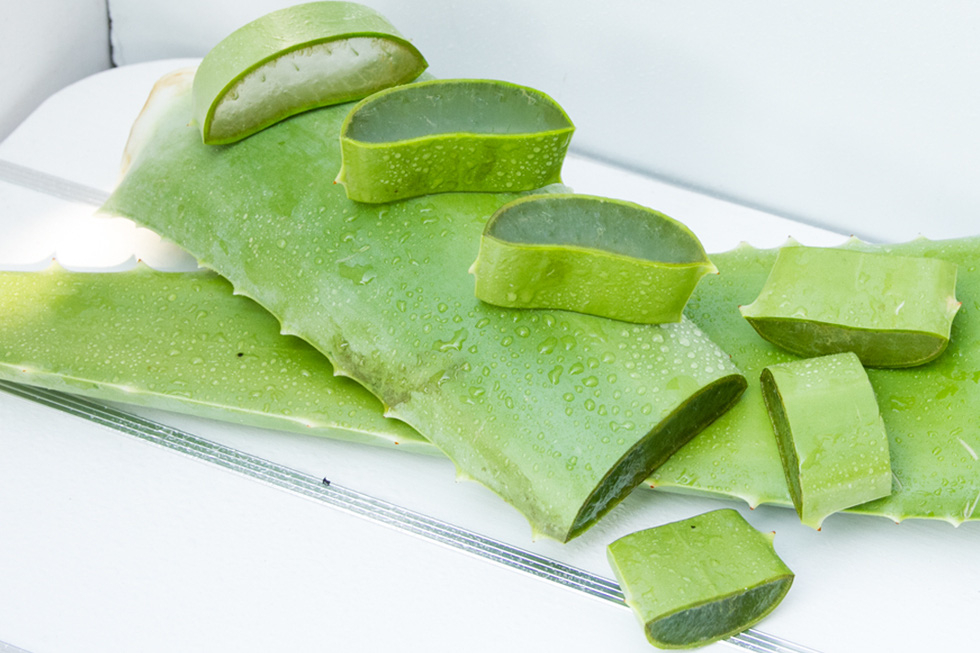 Nước lá dứa nha đam A-Dew