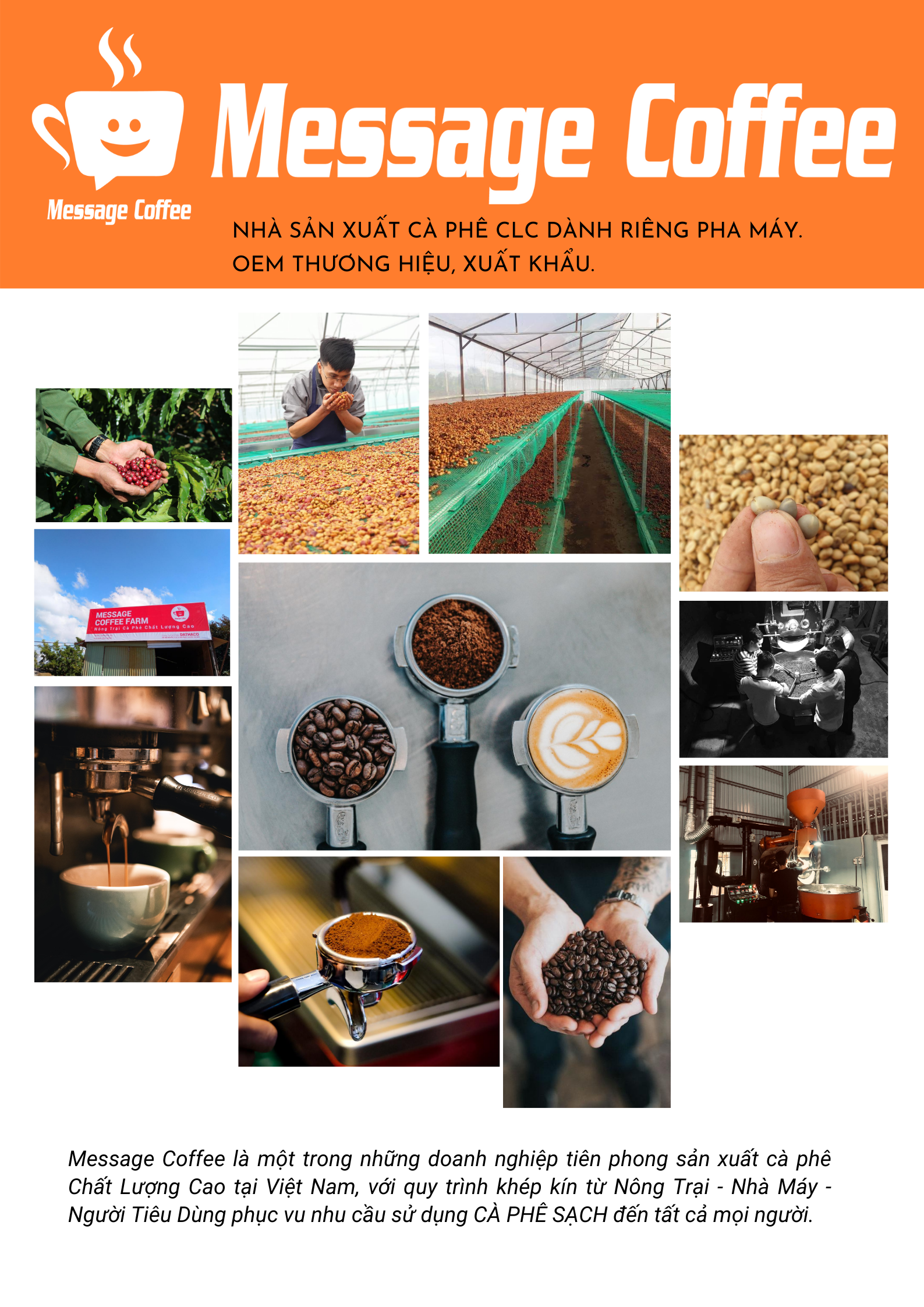 Cà phê Robusta Honey thượng hạng 100% rang xay nguyên chất dùng pha máy, pha phin có cafe hạt và cafe bột - Message Coffee