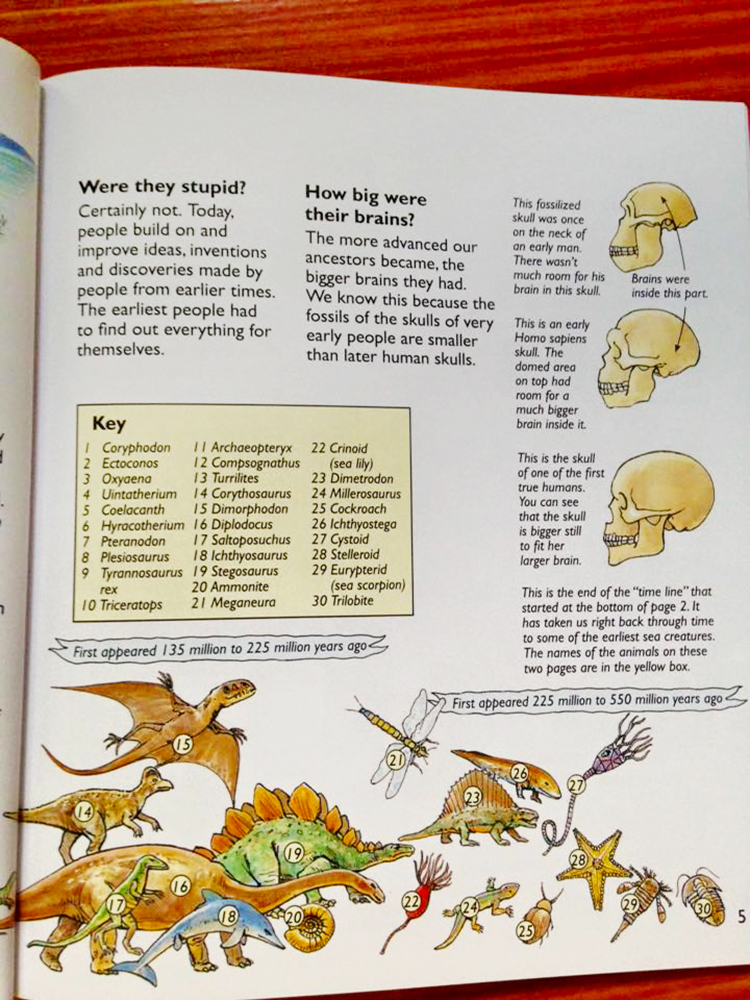 Usborne Who Were The First People? Usborne Who Were The First People?