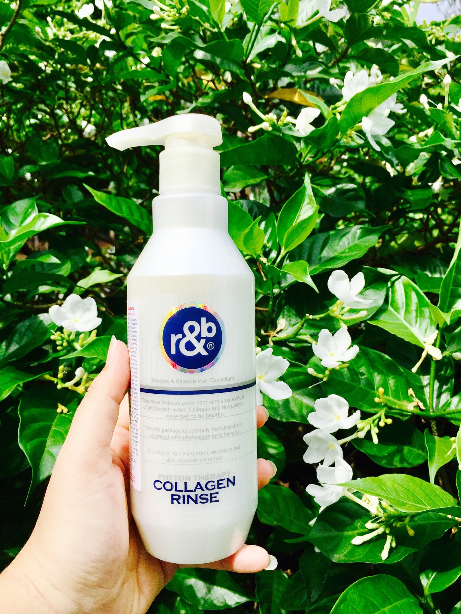 dầu xả tóc collagen sạch sâu, giảm mùi hôi hoá chất trên tóc, ngăn ngừa tóc bạc sớm & mềm mượt R&B Collagen Rinse, hàn quốc 1500ml