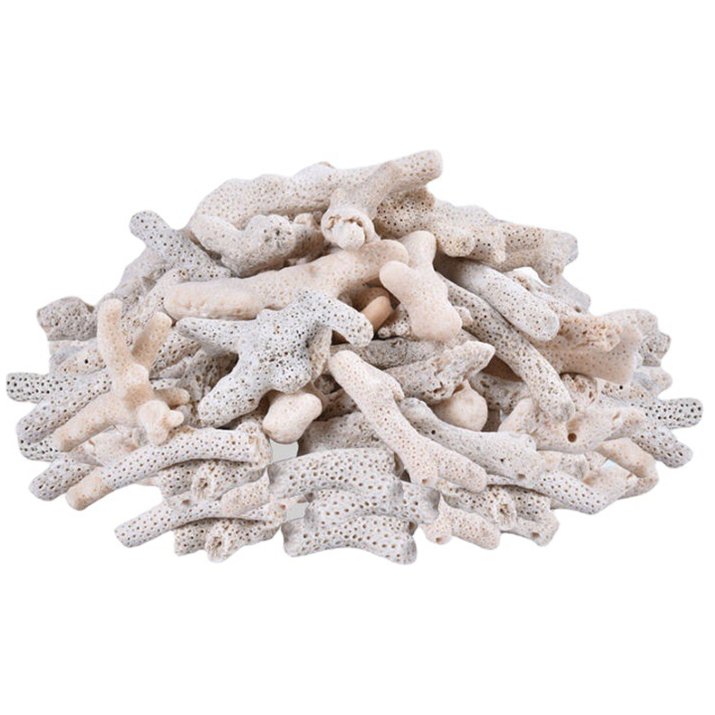 6KG San Hô Vụn vật liệu lọc hồ cá, trang trí bể cá, hồ thủy sinh cao cấp