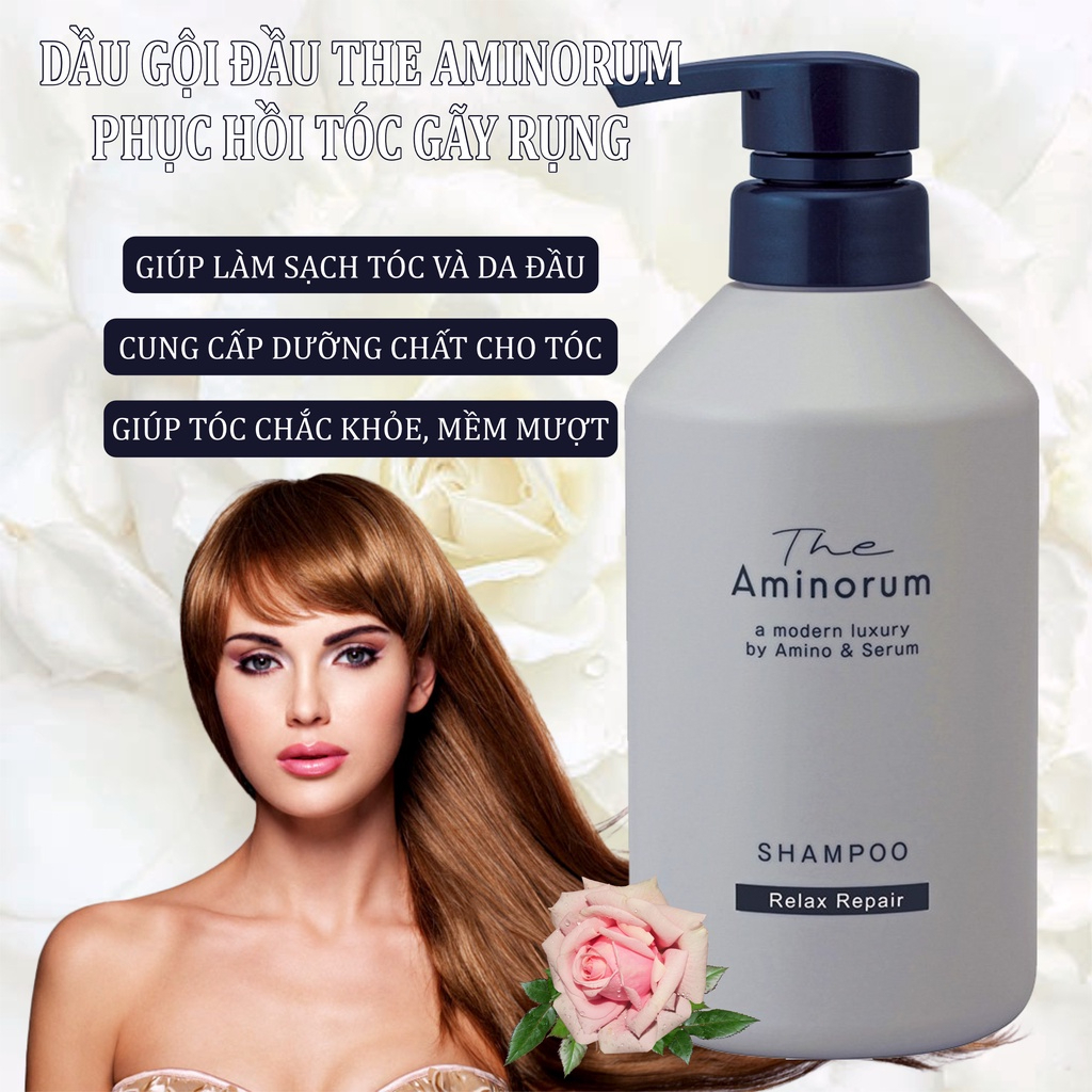 Dầu Gội Phục Hồi Tóc Gãy Rụng Hư Tổn Salon Link The Aminorum Shampoo (400 mL)