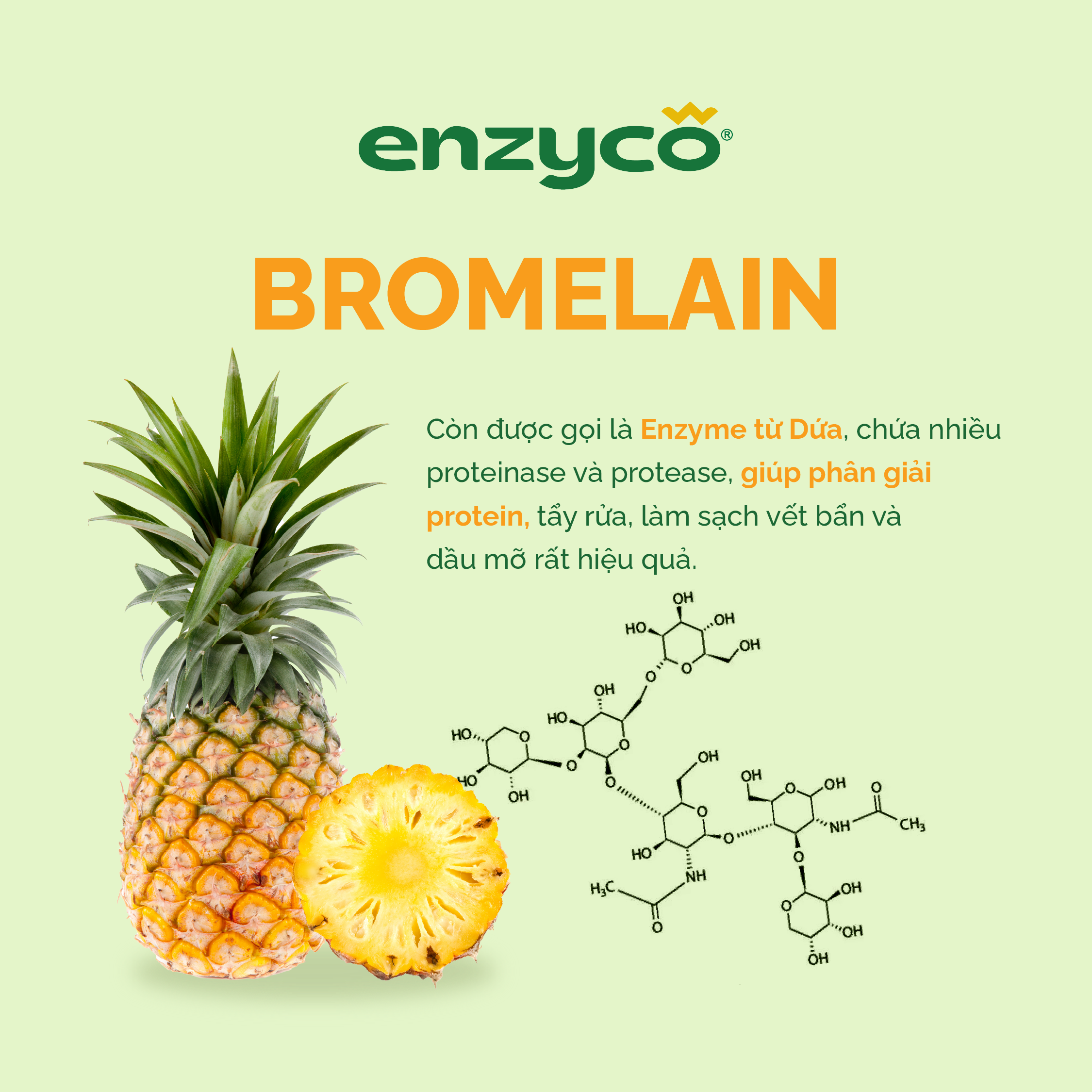 Combo Nước Lau Sàn 2L Và Nước Ngâm Rau Củ 1L ENZYCO