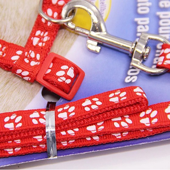 Dây dắt mèo hoạt hình siêu dễ thương màu ngẫu nhiên Xudapet