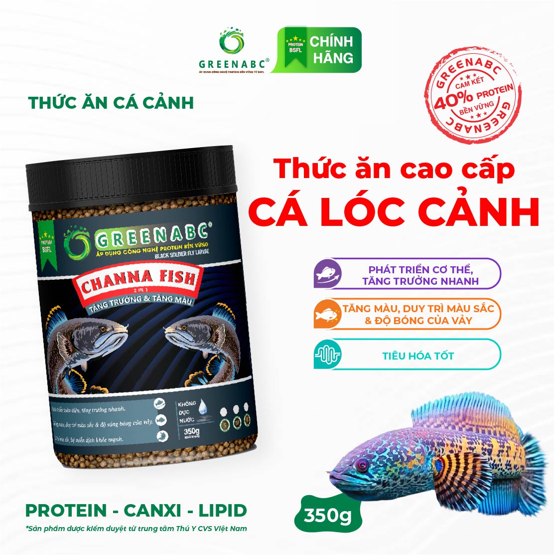 Thức ăn Cá Lóc Cảnh GREENABC - Channa Fish - Protein 40, tăng trưởng nhanh, lên màu đẹp - Hộp 350g