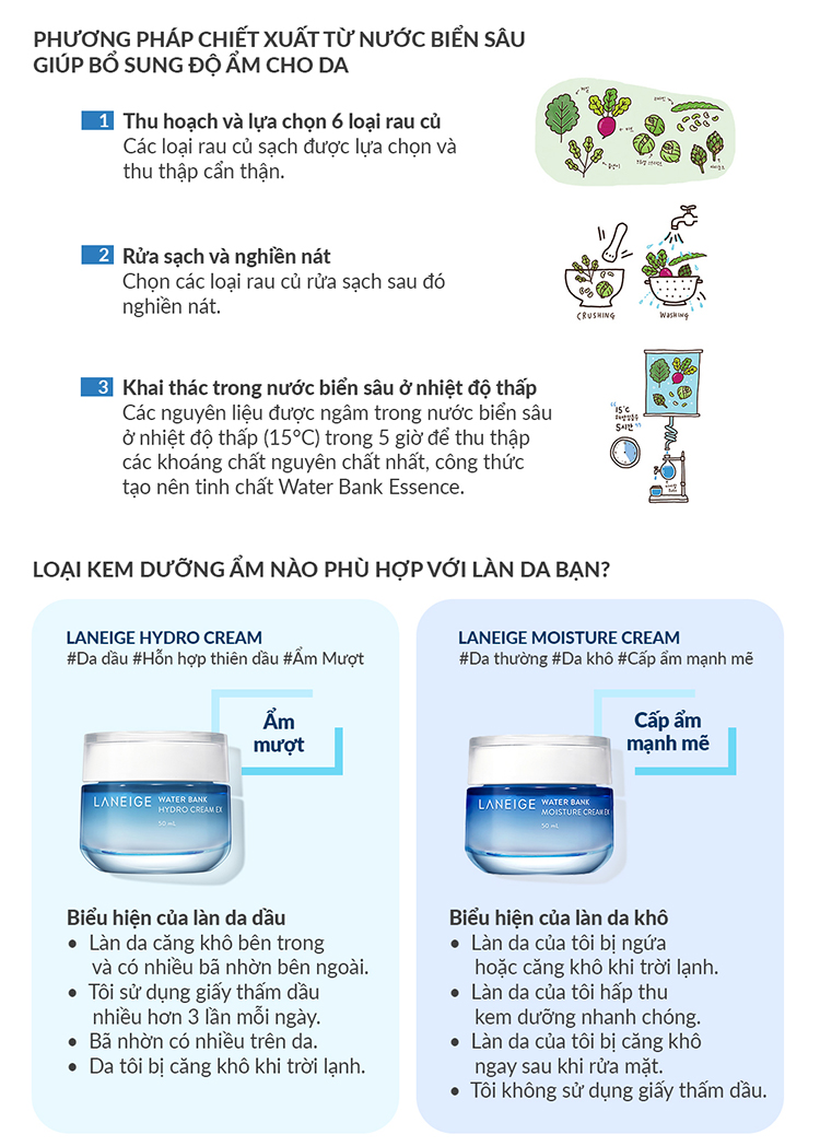 Kem dưỡng ẩm dành cho da dầu và da hỗn hợp Laneige Water Bank Hydro Cream Ex 50ml